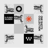 D-Fused Sounds One Shots Collection