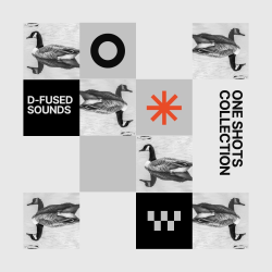 D-Fused Sounds One Shots Collection