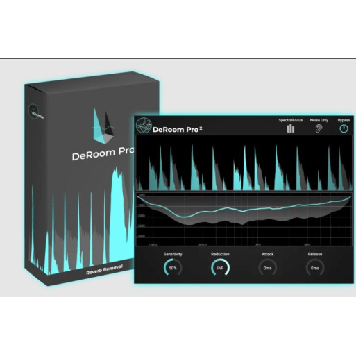 Accentize DeRoom Pro