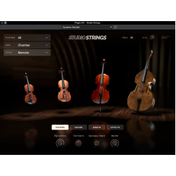 Air Music Tech Studio Strings