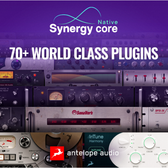 Antelope Audio Synergy Core Native 1 Year Sub