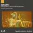 Applied Acoustics Systems Hop Riffs