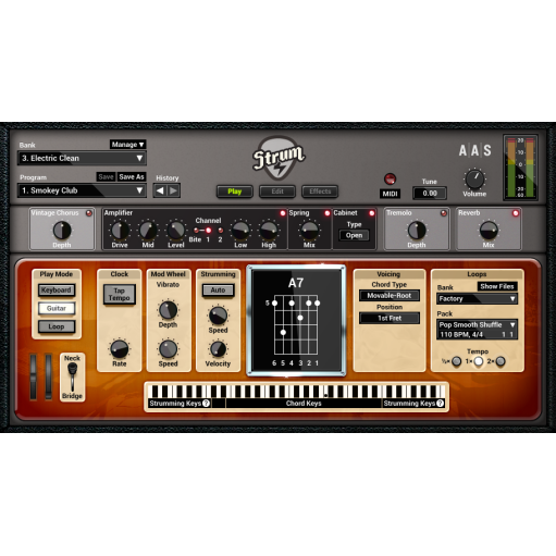 Applied Acoustics Systems Strum GS-2