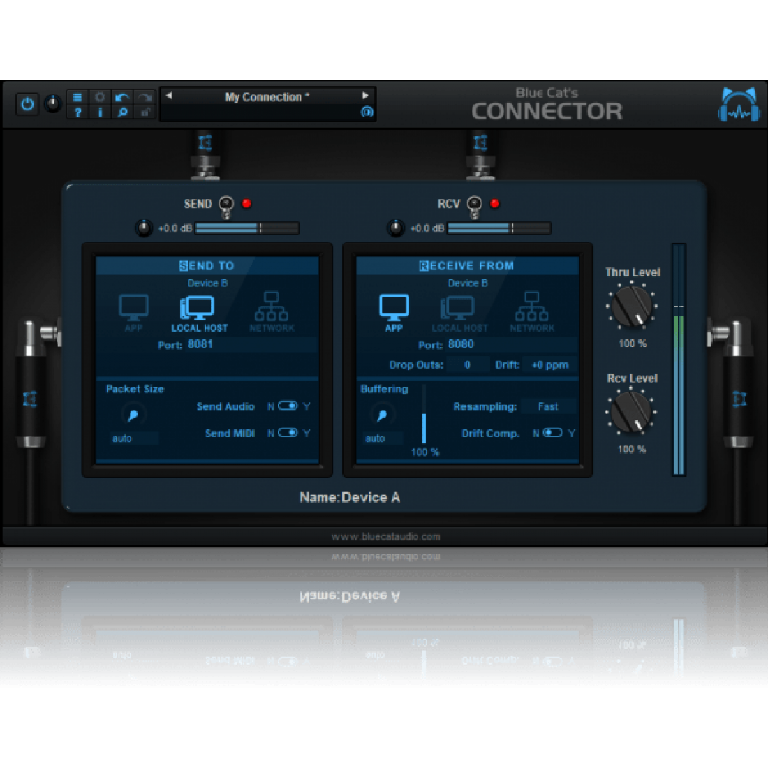 Stream connect. Blue Cat Audio. Blue Cat VST. Audio transmission.