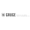 Gauge Precision Instruments