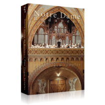 Inspired Acoustics Notre Dame de Budapest Looped Edition