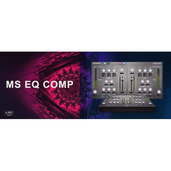 Internet Co MS EQ COMP - MAC