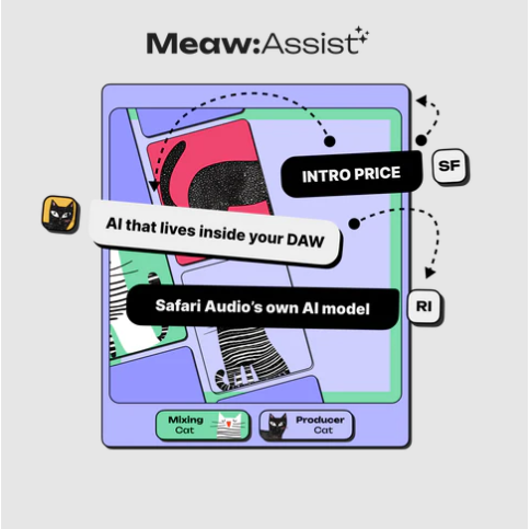 Safari Audio Meaw:Assist
