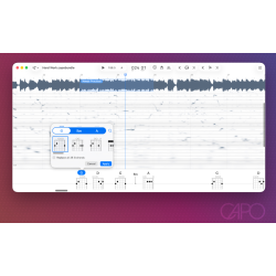 SuperMegaUltraGroovy Capo Pro 4