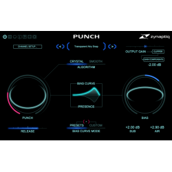 Zynaptiq Punch