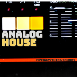 Mycrazything Sounds Analog House Vol.2