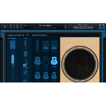 Blue Cat Re-Guitar