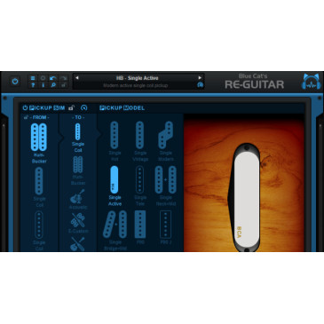 Blue Cat Re-Guitar