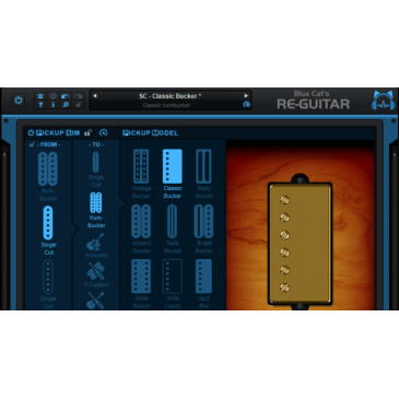 Blue Cat Re-Guitar