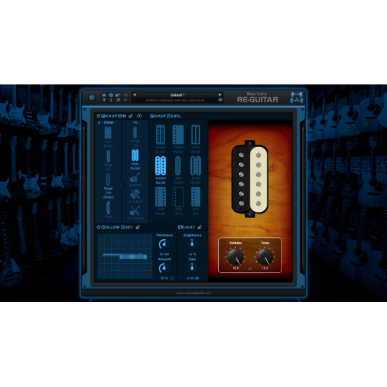 Blue Cat Re-Guitar