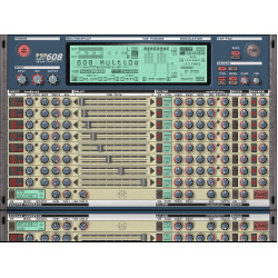PSP 608 Multi-Delay