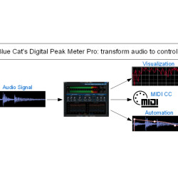 Blue Cat DP Meter Pro