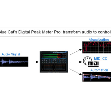 Blue Cat DP Meter Pro