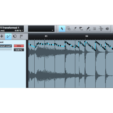 Blue Cat DP Meter Pro