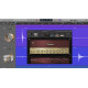 Waves Voltage Amps