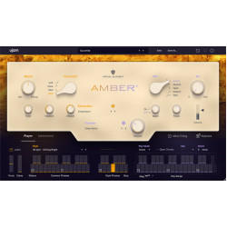 UJAM AMBER 2