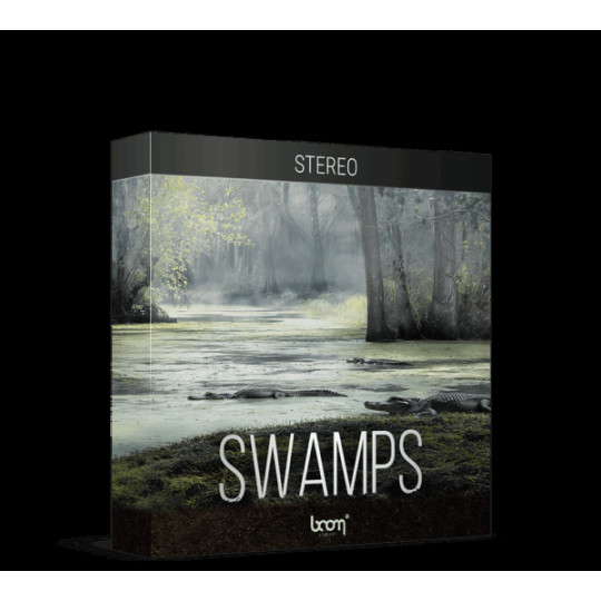 Boom Swamp STEREO