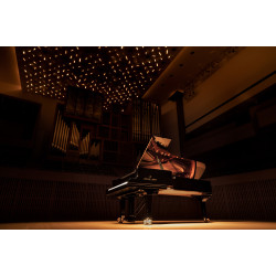 PIANO Premier 