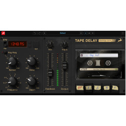 Tape Delay