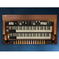 Blue3 Organ