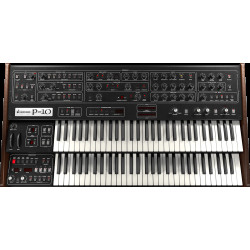 P-10 Synthesizer