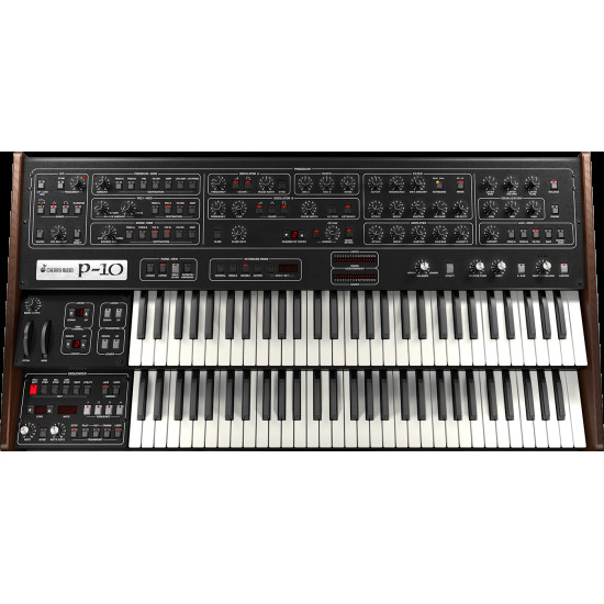 P-10 Synthesizer