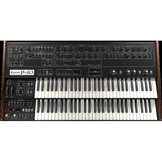 P-10 Synthesizer