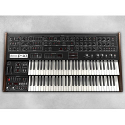 P-10 Synthesizer