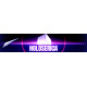 AX73 Holoserica Collection