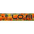 AX73 Orange Lo-fi Collection