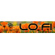 AX73 Orange Lo-fi Collection