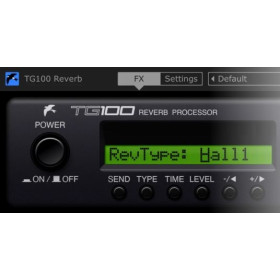 TG100 Reverb