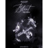 Audiofier Blent 2 - High Enders