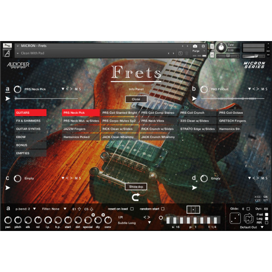 Audiofier Micron FRETS