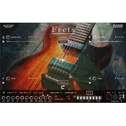 Audiofier Micron FRETS