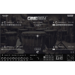 Audiofier Micron CINERGY