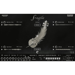 Audiofier Micron FRAGILE