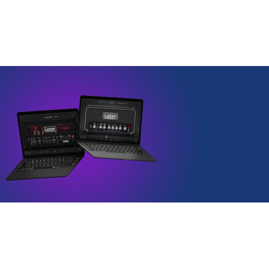 Laney Bundle