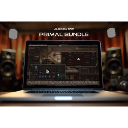 Primal Bundle