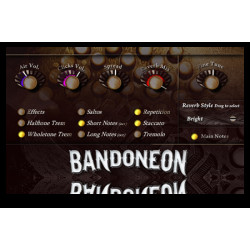 The Bandoneon