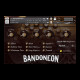 The Bandoneon