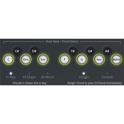 Chord Board Standard