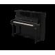 Rhodes Pianology